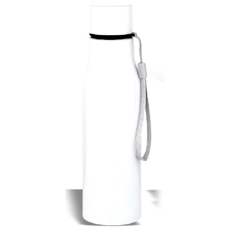 Stainless steel vacuum insulated bottle